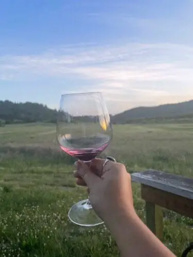 Hand Holding An Almost Empty Wine Glass